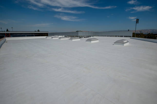 Best Roof Leak Repair  in Hauula, HI